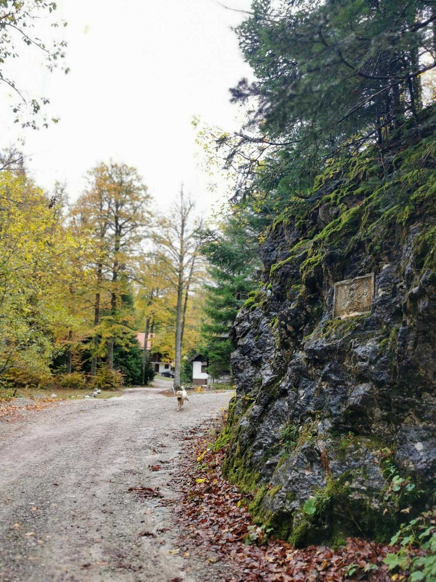 Villa Koca Kresnica Ilirska Bistrica Exterior foto